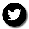 Twitter Descendencia